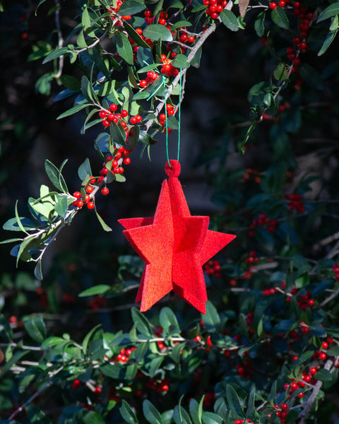 Tomate Star Felt Ornament