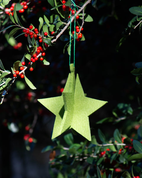 Lind Star Felt Ornament