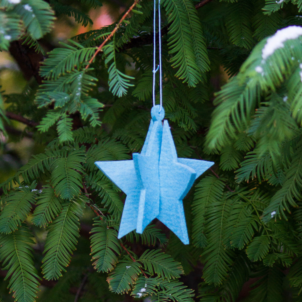 Bewolkt Star Felt Ornament