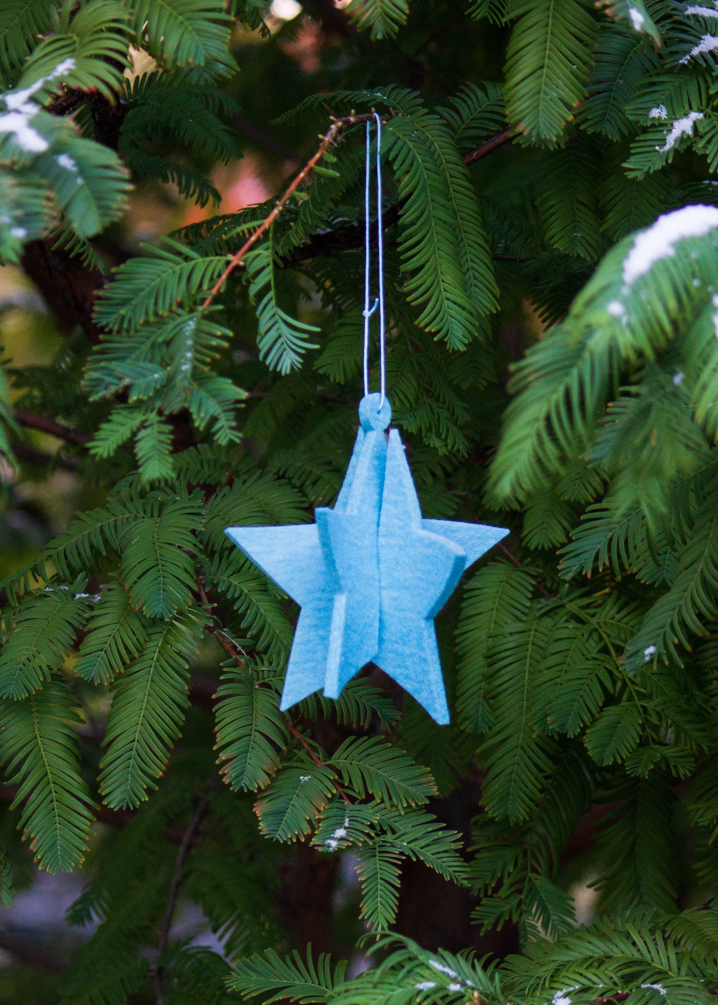 Bewolkt Star Felt Ornament