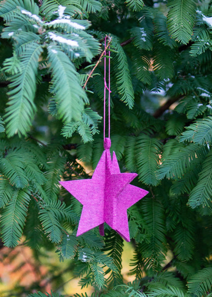 Magnolie Star Felt Ornament