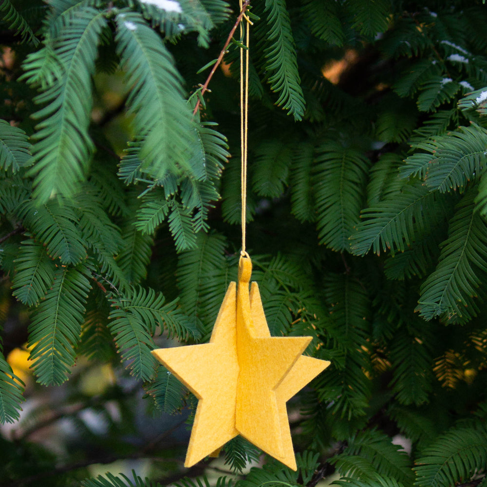 
                  
                    Honig Star Felt Ornament
                  
                