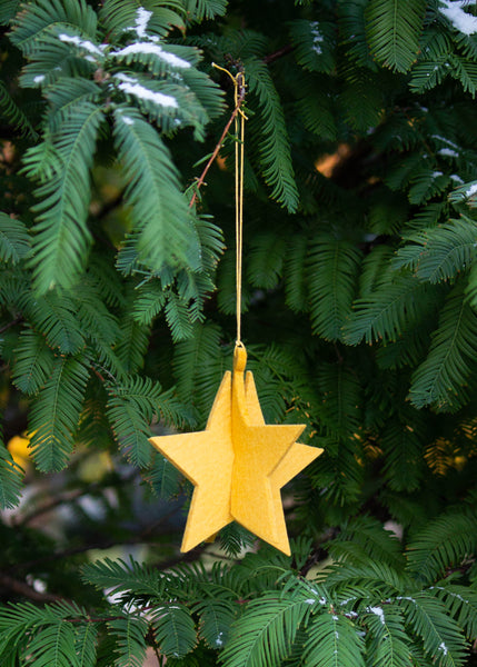 Honig Star Felt Ornament
