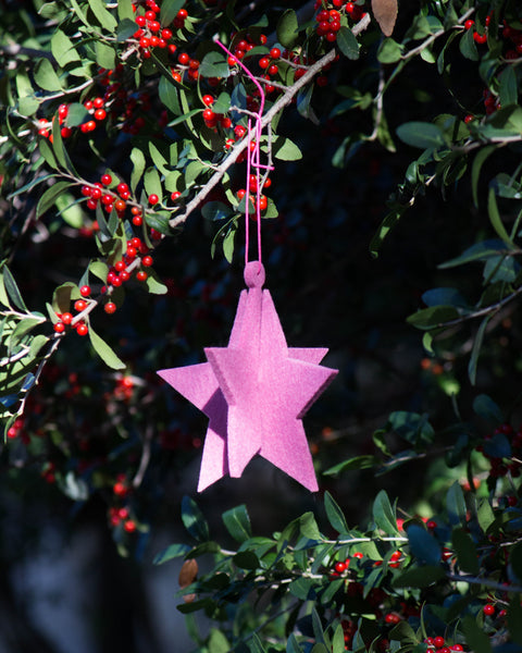 Erroten Star Felt Ornament