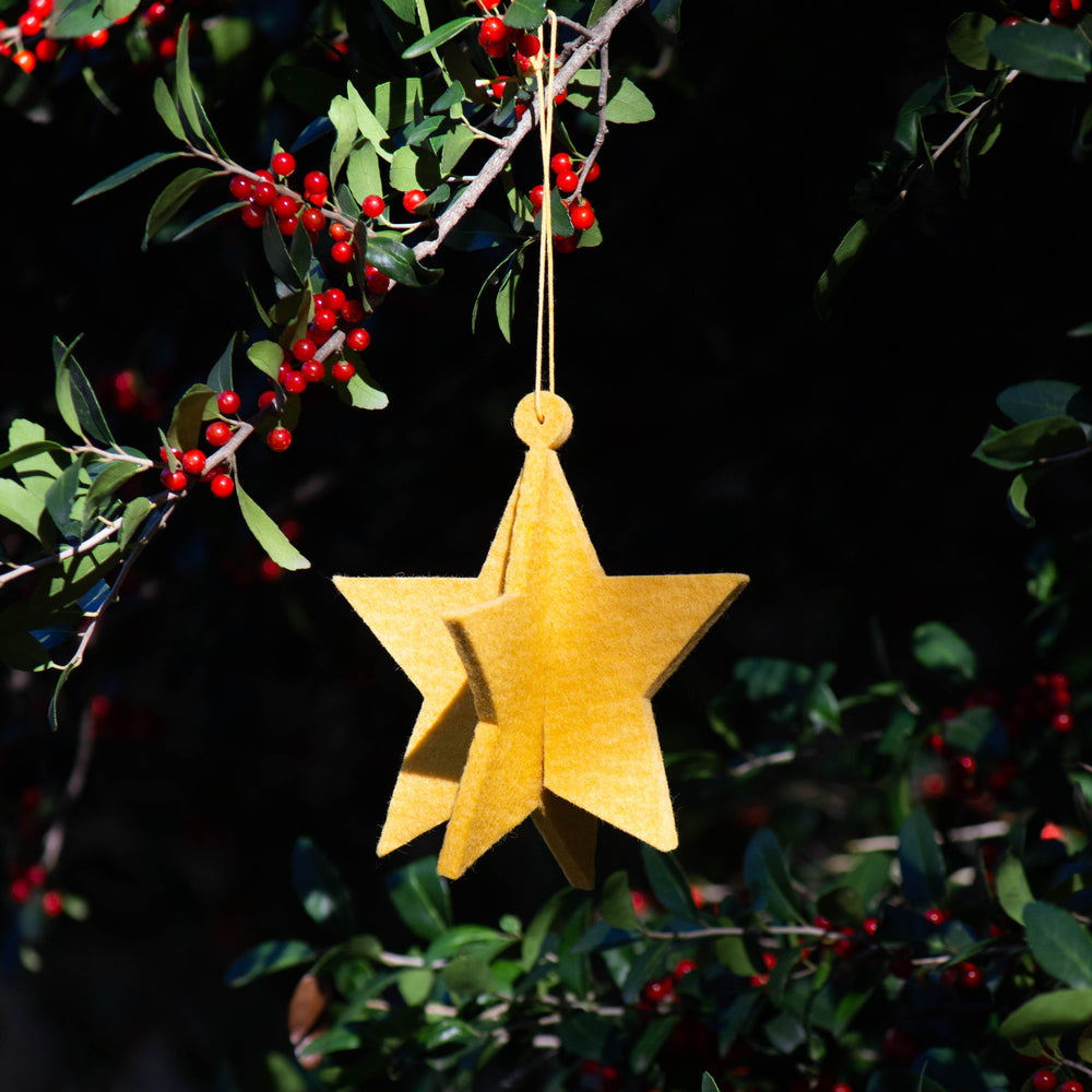 
                  
                    Honig Star Felt Ornament
                  
                