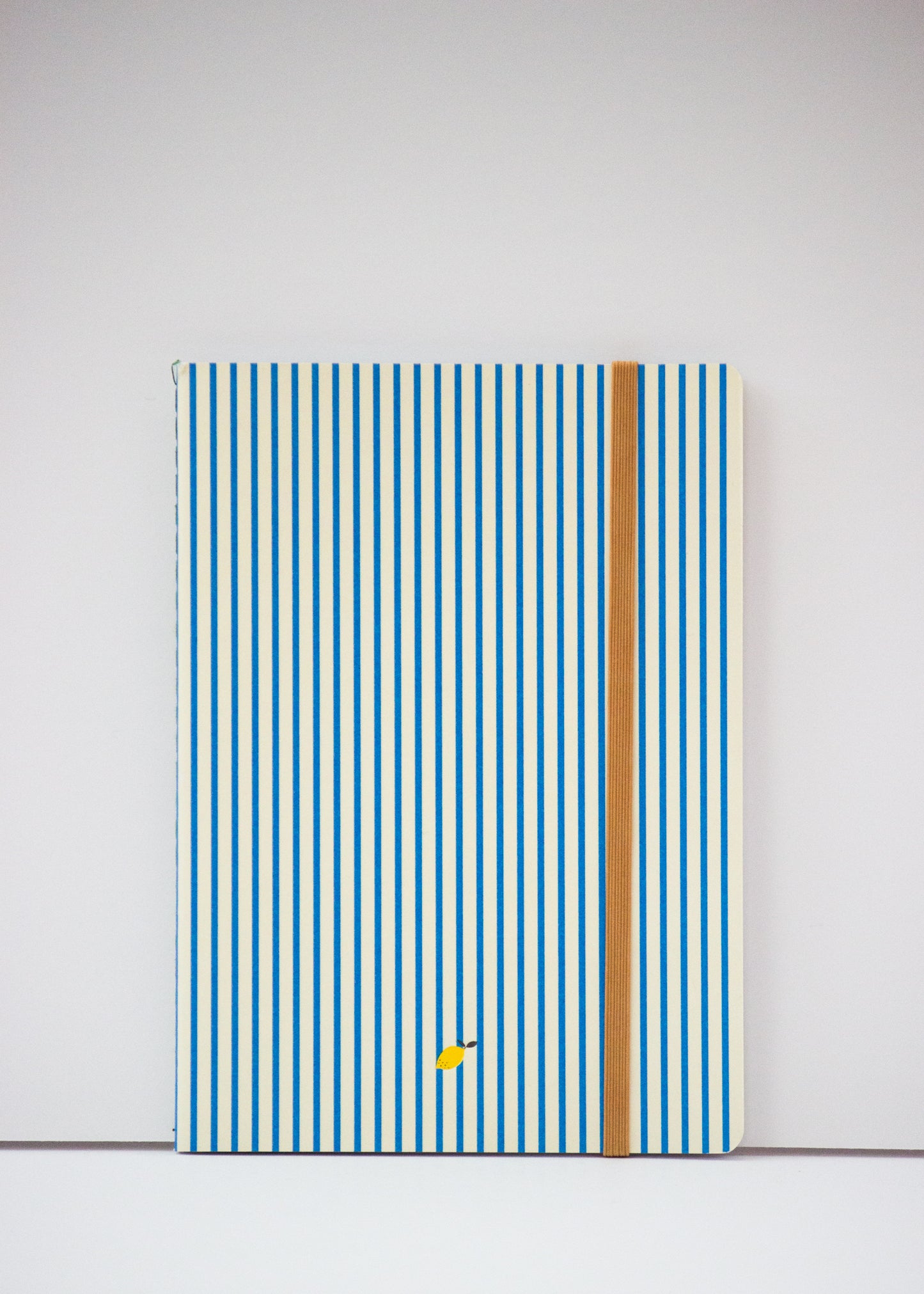 Blue Stripe Notebook